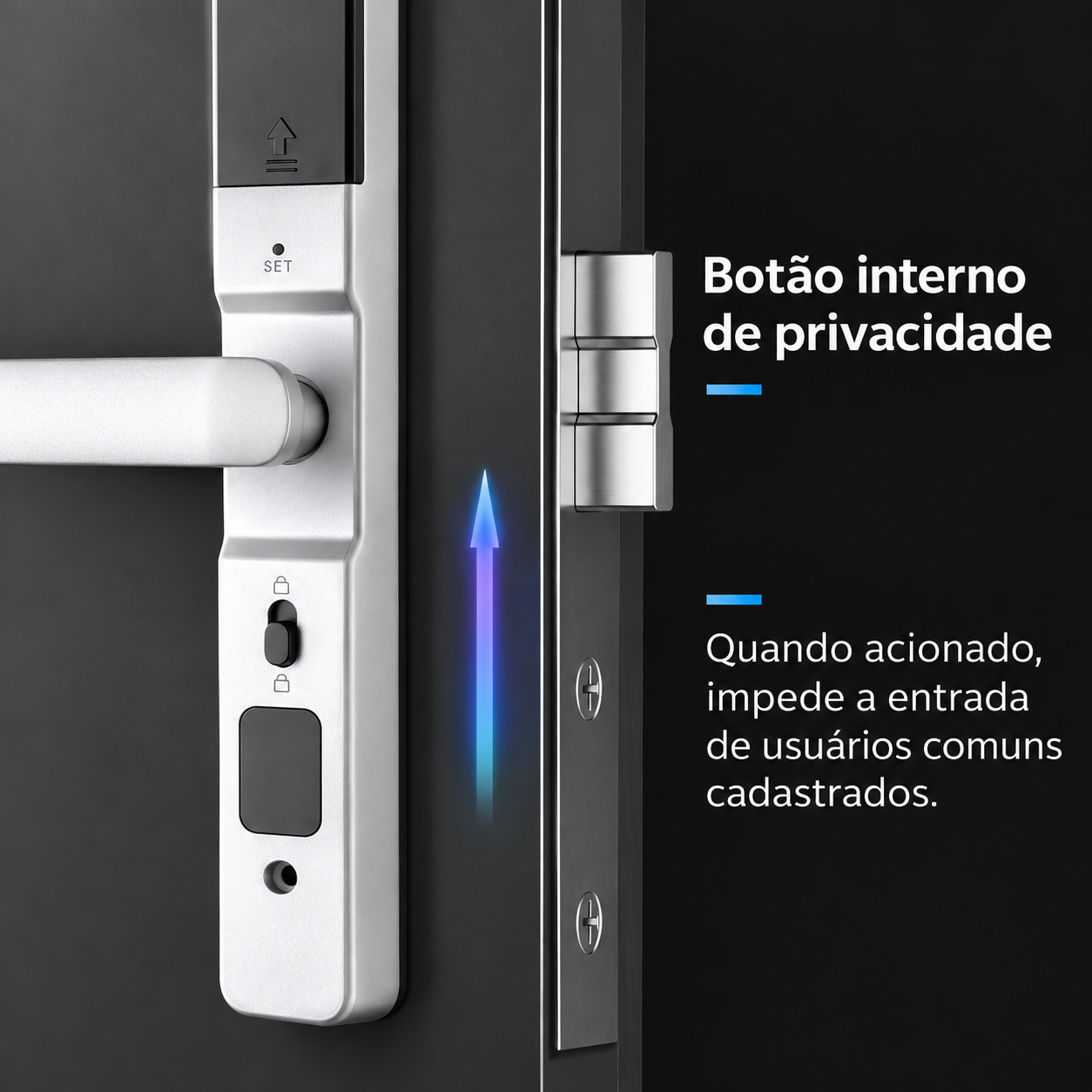 Botão Interno de Privacidade